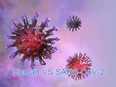 introduction about SARS-CoV-2 which result in COVID-19