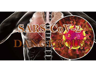 Why SARS-CoV-2 is serious terrible to human