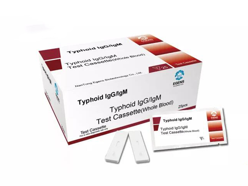 Typhoid IgG/IgM Rapid Test