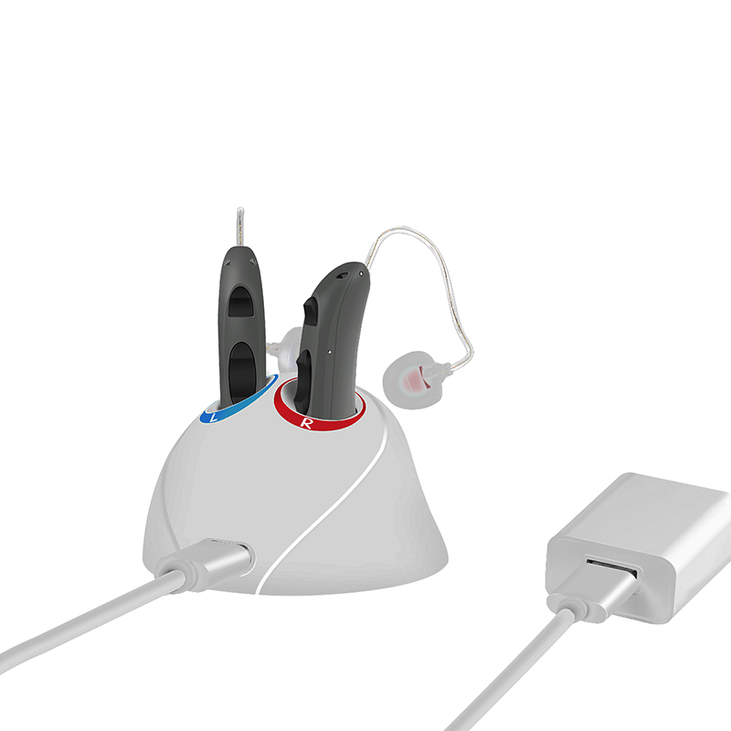 Affordable Price Rechargeable Spieth RIC001 Ric Hearing Aids