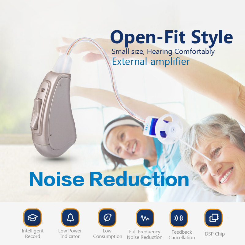 Noise Reduce Digital Open Fit Spieth RIC018 RIC Hearing Aids