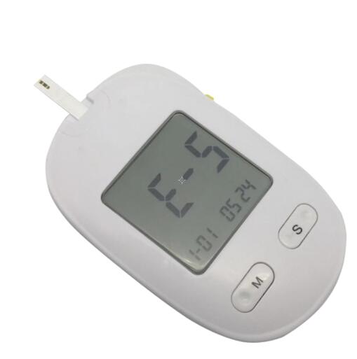 Blood Glucose Monitoring System BG-205